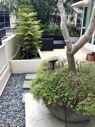 Savannah Condopark (D18), Condominium #543592571